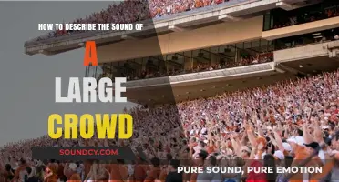Capturing the Roar: Describing the Sound of a Large Crowd