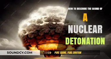 Unveiling the Unimaginable: Describing a Nuclear Detonation's Sonic Impact