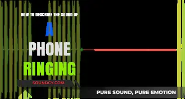 Capturing the Ring: Describing the Unique Sound of a Phone Call