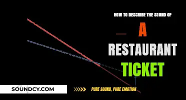 Capturing the Chaotic Symphony: Describing a Restaurant Ticket's Unique Sound