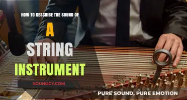 Mastering the Art of Describing String Instrument Sounds: A Comprehensive Guide