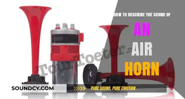 Describing the Piercing, Powerful, and Unmistakable Sound of an Air Horn