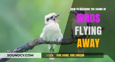 Capturing the Fleeting Melody: Describing Birds' Flight Sounds