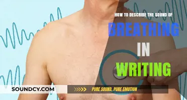 Capturing Breath's Melody: Writing Techniques to Describe Breathing Sounds