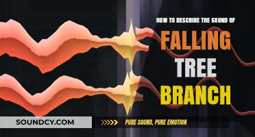 Capturing the Crisp Crackle: Describing the Sound of a Falling Tree Branch