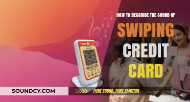 The Unique Swipe Sound: Describing Credit Card Transaction Noises