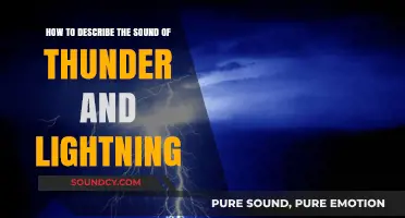 Capturing the Majestic Roar: Describing Thunder and Lightning's Powerful Symphony