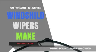 Decoding the Rhythmic Swish: Describing Windshield Wiper Sounds