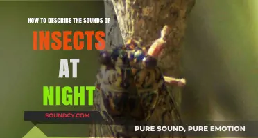 Captivating Nighttime Symphony: Decoding the Melodic Buzz of Insects After Dark
