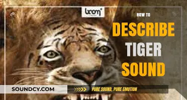 Unleashing the Roar: Mastering the Art of Describing a Tiger's Sound