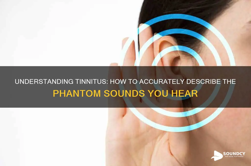 how to describe tinnitus sound