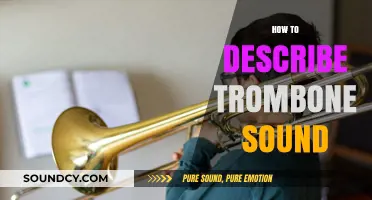 Unveiling the Rich, Bold, and Versatile Trombone Sound: A Descriptive Guide