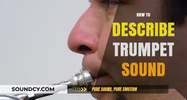 Mastering the Art of Describing Trumpet Sound: A Comprehensive Guide