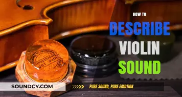 Unveiling the Rich, Expressive, and Unique Qualities of Violin Sound