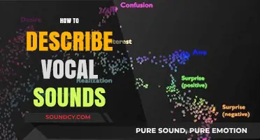 Mastering Vocal Sound Descriptions: Techniques for Accurate and Expressive Communication
