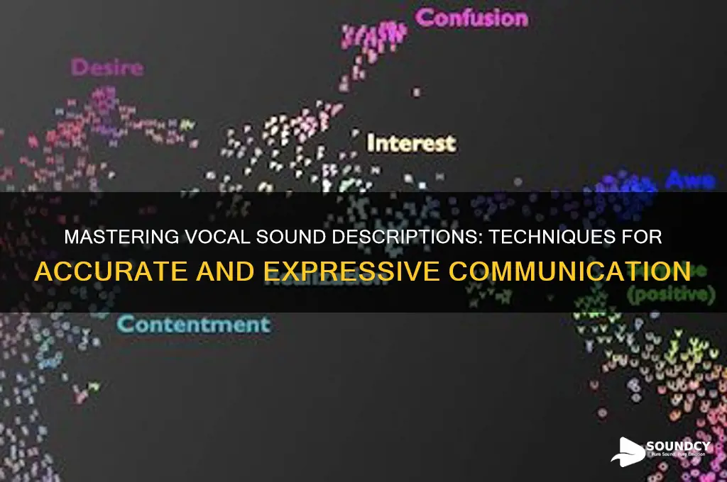 how to describe vocal sounds