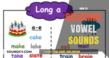 Mastering Vowel Sounds: A Comprehensive Guide to Accurate Description Techniques