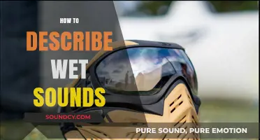 Mastering the Art of Describing Wet Sounds: Techniques and Examples