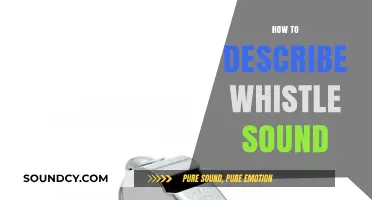 Mastering the Art of Describing Whistle Sounds: A Comprehensive Guide
