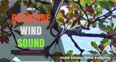 Capturing the Whispers of Wind: Articulating Nature's Elusive Sounds