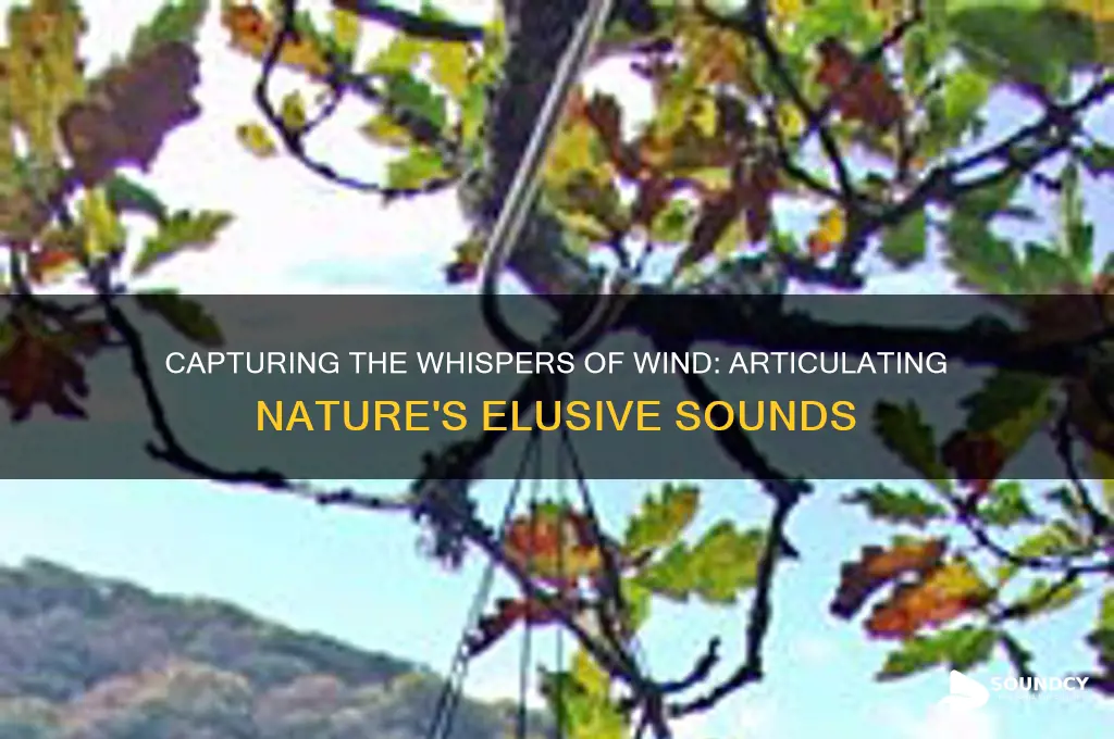 how to describe wind sound