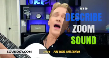 Mastering the Art of Describing Zoom Sound in Creative Writing