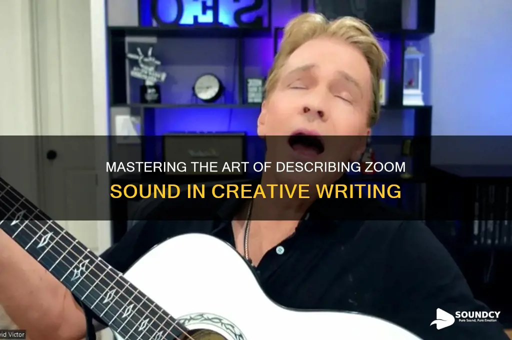 how to describe zoom sound