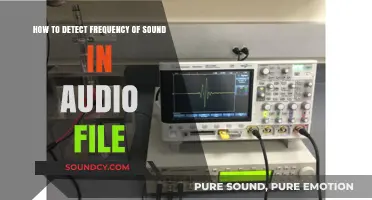 Detecting Sound Frequencies: A Step-by-Step Guide to Analyzing Audio Files