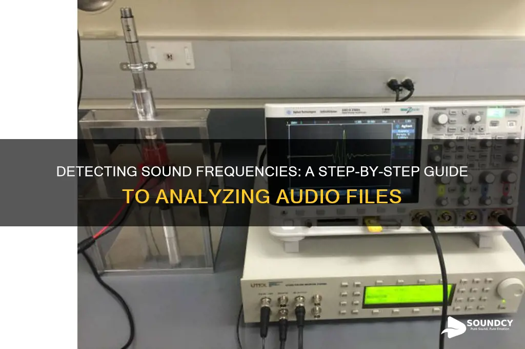 how to detect frequency of sound in audio file
