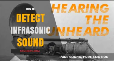 Detecting Infrasonic Sound: Techniques and Tools for Unseen Frequencies