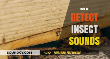 Mastering Insect Sound Detection: Techniques and Tools for Enthusiasts