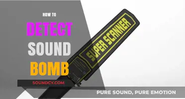 Effective Techniques to Detect Sound Bombs and Ensure Public Safety