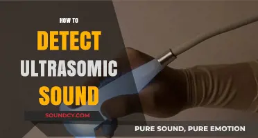 Mastering Ultrasound Detection: Techniques to Identify Inaudible Frequencies
