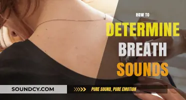 Mastering Auscultation: A Comprehensive Guide to Identifying Breath Sounds