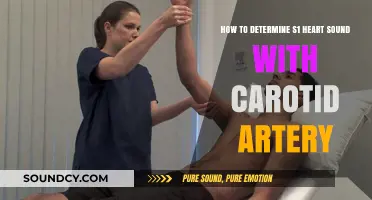 Mastering S1 Heart Sound Detection via Carotid Artery Palpation