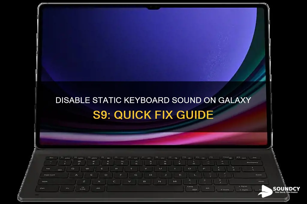how to diable syatic sound on keyboard galaxy s9