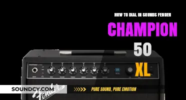 Mastering Your Fender Champion 50XL: Dialing in Perfect Sounds