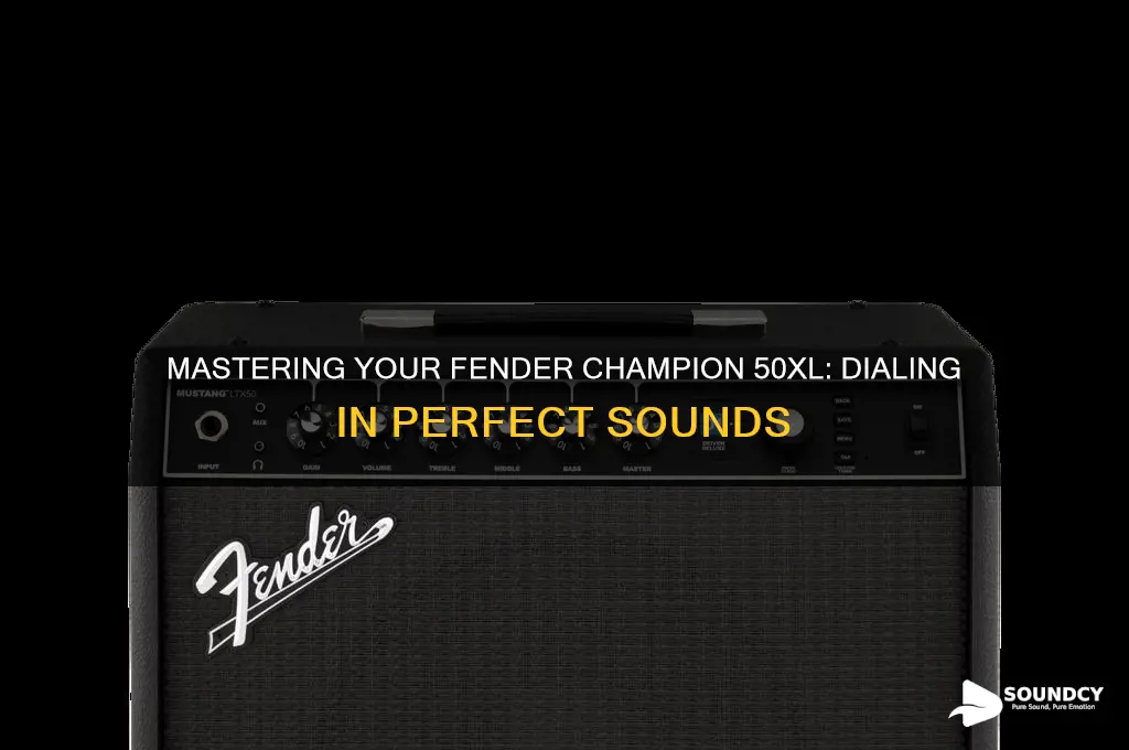 how to dial in sounds fender champion 50 xl