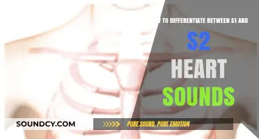 Mastering Heart Auscultation: Distinguishing S1 and S2 Heart Sounds