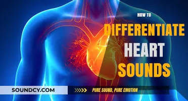 Mastering Heart Sounds: A Guide to Differentiating Cardiac Auscultation