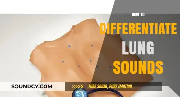 Mastering Lung Sound Differentiation: Essential Techniques for Accurate Diagnosis