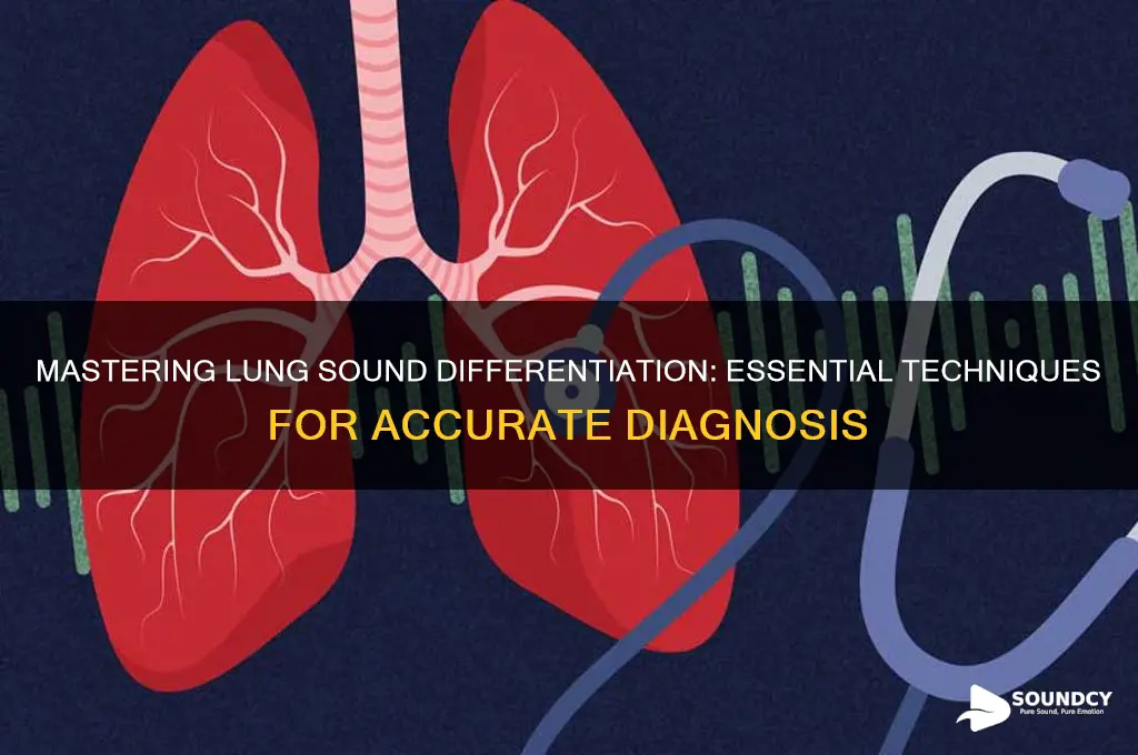 how to differentiate lung sounds