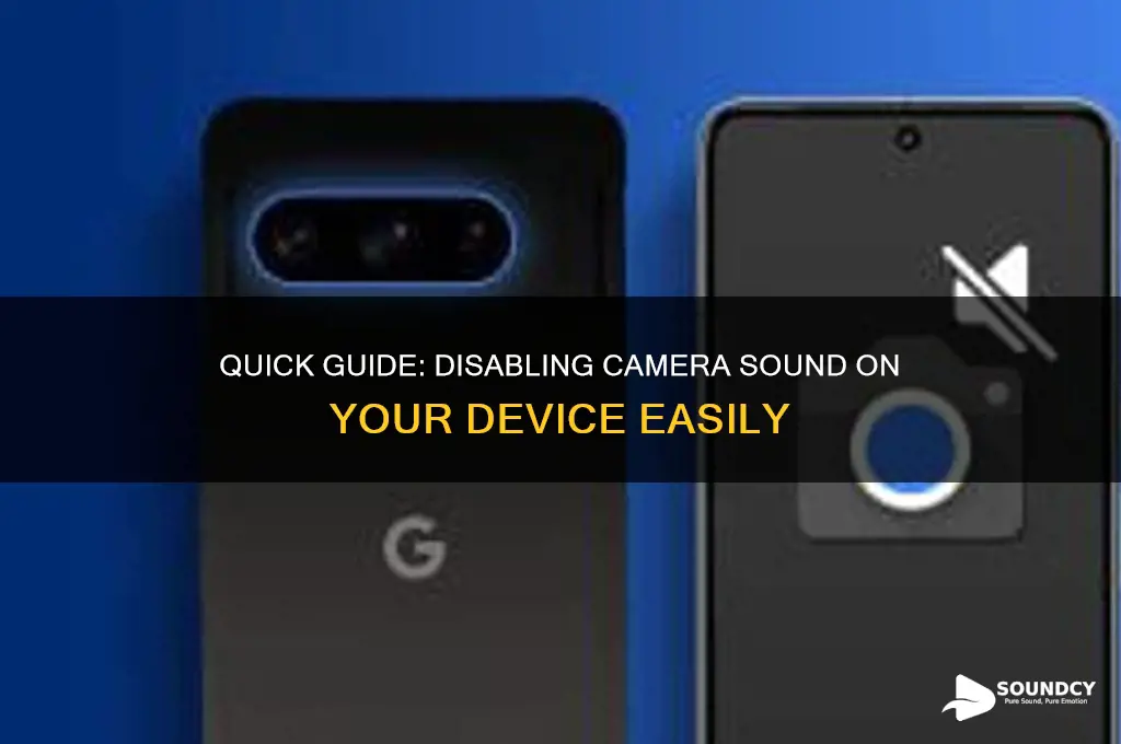 how to disable camera sound
