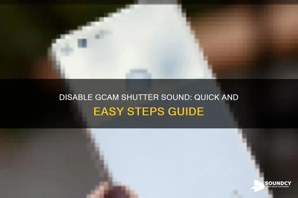 how to disable gcam sound