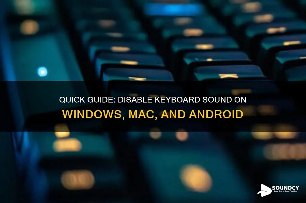 how to disable keyboard sound