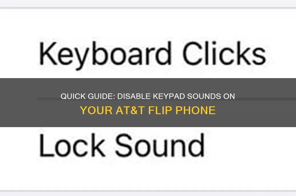 how to disable keypad sounds on att flip phone