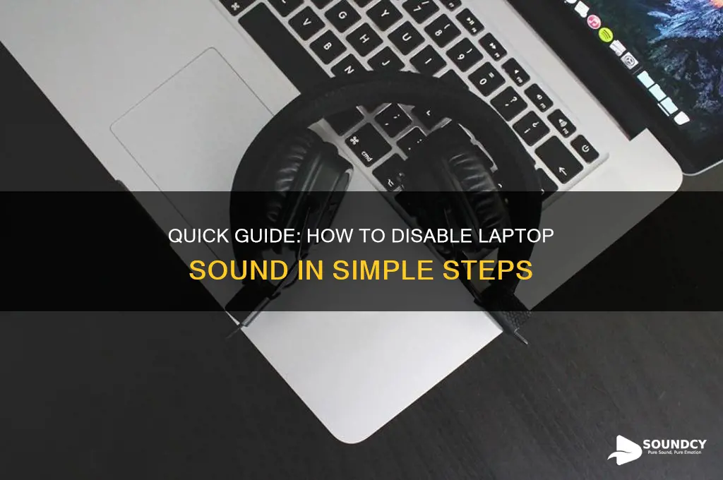 how to disable laptop sound