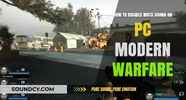 Fix Mute Sound Issue in Modern Warfare on PC: A Guide