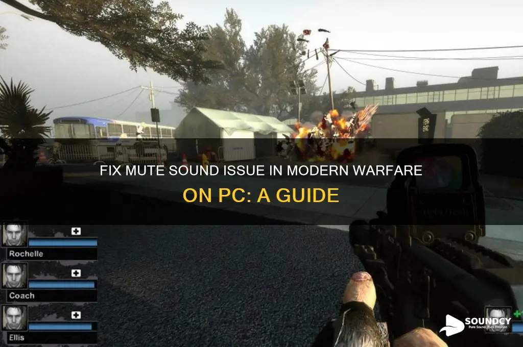 how to disable mute sound on pc modern warfare
