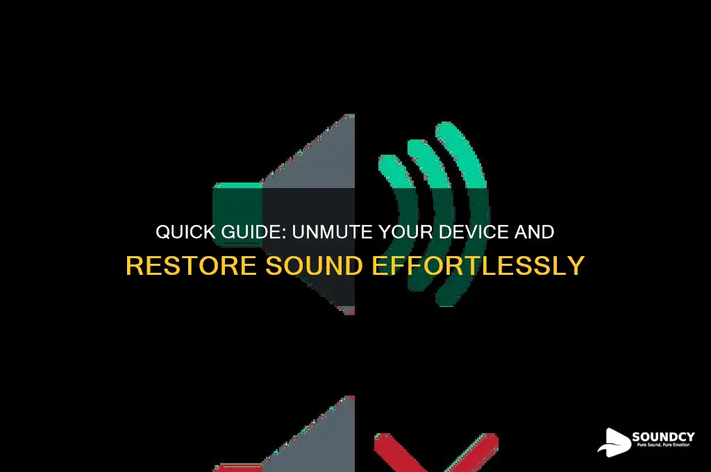 how to disable mute sound